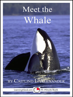 cover image of Meet the Whale